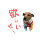 jackmoisel（個別スタンプ：19）