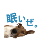 jackmoisel（個別スタンプ：21）