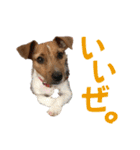 jackmoisel（個別スタンプ：24）