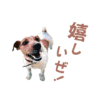 jackmoisel（個別スタンプ：29）