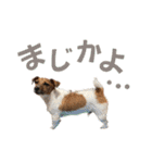 jackmoisel（個別スタンプ：31）