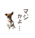 jackmoisel（個別スタンプ：32）