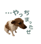 jackmoisel（個別スタンプ：33）