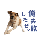 jackmoisel（個別スタンプ：34）