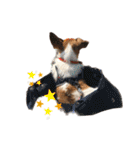 jackmoisel（個別スタンプ：39）