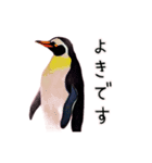 ペンギンの油絵スタンプ（個別スタンプ：6）