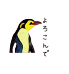 ペンギンの油絵スタンプ（個別スタンプ：8）