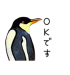 ペンギンの油絵スタンプ（個別スタンプ：35）