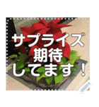 クリスマスツリー自由メッセージ（個別スタンプ：9）