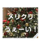 クリスマスツリー自由メッセージ（個別スタンプ：15）