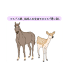 自我1（個別スタンプ：18）
