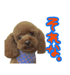 村岡さんちのココア（個別スタンプ：8）