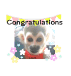 squirrel monkey Louis3（個別スタンプ：1）