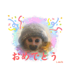 squirrel monkey Louis3（個別スタンプ：4）