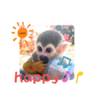 squirrel monkey Louis3（個別スタンプ：9）