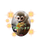 squirrel monkey Louis3（個別スタンプ：14）