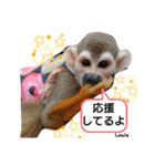 squirrel monkey Louis3（個別スタンプ：25）