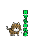 ブタさん物語9（個別スタンプ：27）