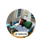 UMAの日常+α（個別スタンプ：13）