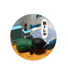 UMAの日常+α（個別スタンプ：14）