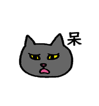 猫と一文字（個別スタンプ：15）