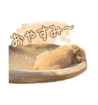 世界一のめんこちゃんたち（個別スタンプ：3）