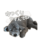 世界一のめんこちゃんたち（個別スタンプ：7）