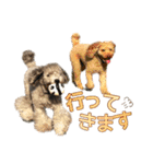 世界一のめんこちゃんたち（個別スタンプ：9）