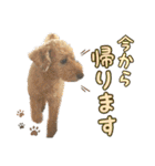 世界一のめんこちゃんたち（個別スタンプ：10）