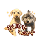 世界一のめんこちゃんたち（個別スタンプ：15）