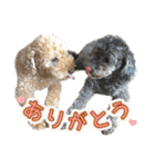 世界一のめんこちゃんたち（個別スタンプ：21）