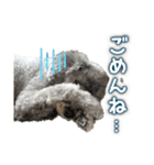 世界一のめんこちゃんたち（個別スタンプ：23）