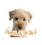 世界一のめんこちゃんたち（個別スタンプ：25）
