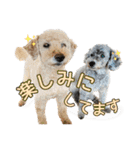 世界一のめんこちゃんたち（個別スタンプ：26）