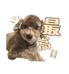 世界一のめんこちゃんたち（個別スタンプ：31）