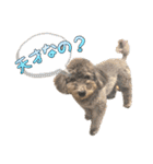 世界一のめんこちゃんたち（個別スタンプ：33）