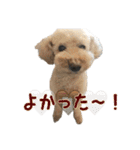 世界一のめんこちゃんたち（個別スタンプ：34）