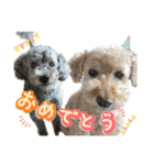 世界一のめんこちゃんたち（個別スタンプ：36）