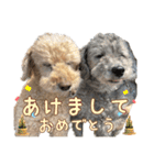 世界一のめんこちゃんたち（個別スタンプ：38）