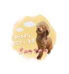 バディーとクオン♡（個別スタンプ：1）