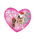バディーとクオン♡（個別スタンプ：2）