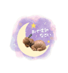 バディーとクオン♡（個別スタンプ：4）