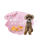 バディーとクオン♡（個別スタンプ：5）