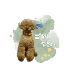 バディーとクオン♡（個別スタンプ：6）
