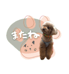 バディーとクオン♡（個別スタンプ：14）