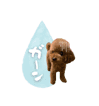 バディーとクオン♡（個別スタンプ：21）