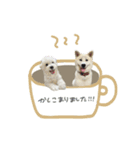 ♡SHIORI様 2（個別スタンプ：1）