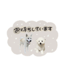 ♡SHIORI様 2（個別スタンプ：2）