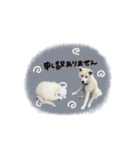 ♡SHIORI様 2（個別スタンプ：4）