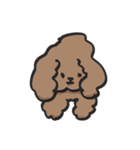o もふもふ o（個別スタンプ：1）